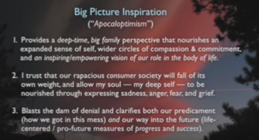 apocaloptimism-1-3